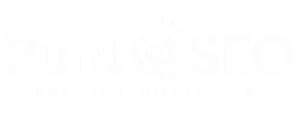 punto seo